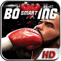Smart Boxing 3D